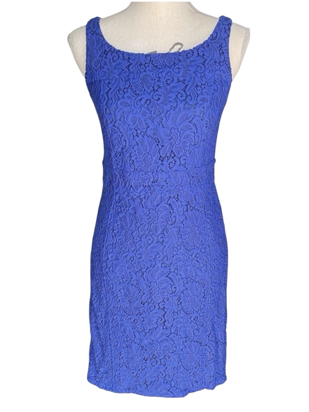 Judith and Charles Cobalt Blue Sienna Sleeveless Stretch Lace Fitted Dress (8)